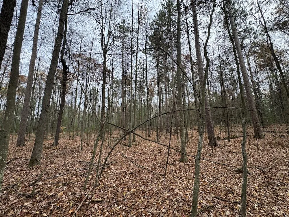4335 Kings Corner Road Oscoda Charter Township, MI 48737