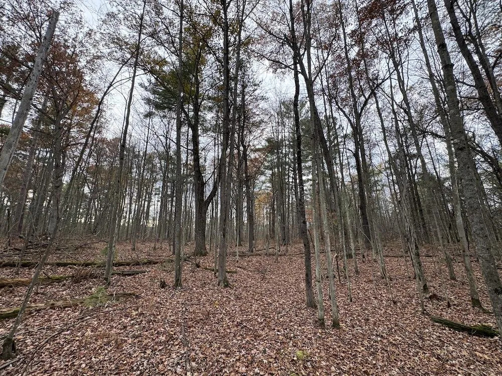 4335 Kings Corner Road Oscoda Charter Township, MI 48737