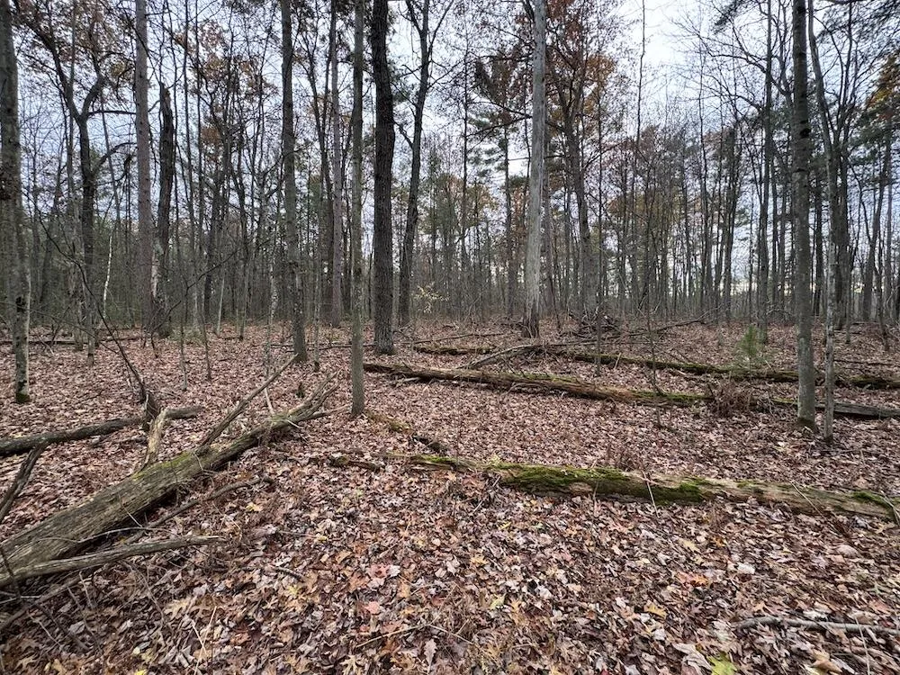 4335 Kings Corner Road Oscoda Charter Township, MI 48737