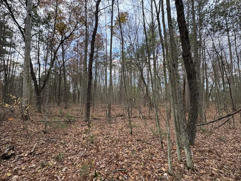 4335 Kings Corner Road Oscoda Charter Township, MI 48737