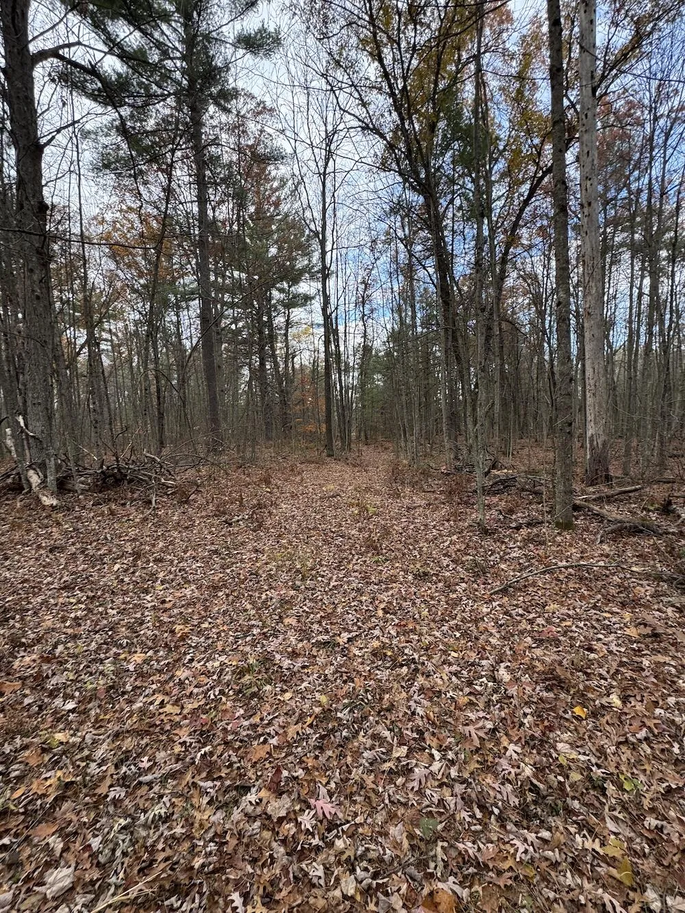 4335 Kings Corner Road Oscoda Charter Township, MI 48737
