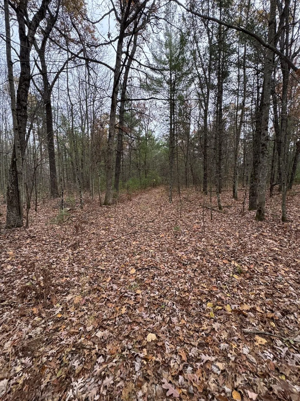 4335 Kings Corner Road Oscoda Charter Township, MI 48737