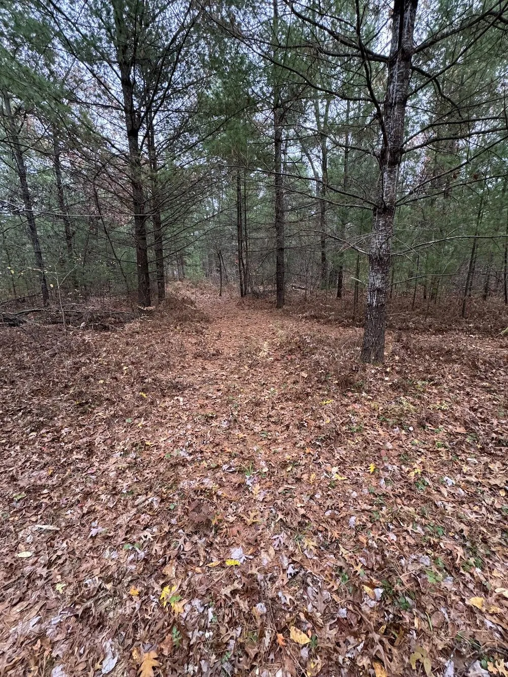 4335 Kings Corner Road Oscoda Charter Township, MI 48737