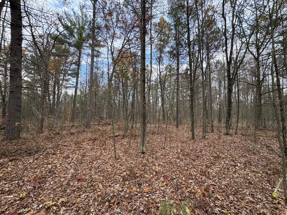 4335 Kings Corner Road Oscoda Charter Township, MI 48737