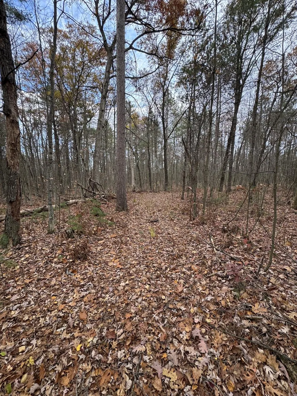 4335 Kings Corner Road Oscoda Charter Township, MI 48737