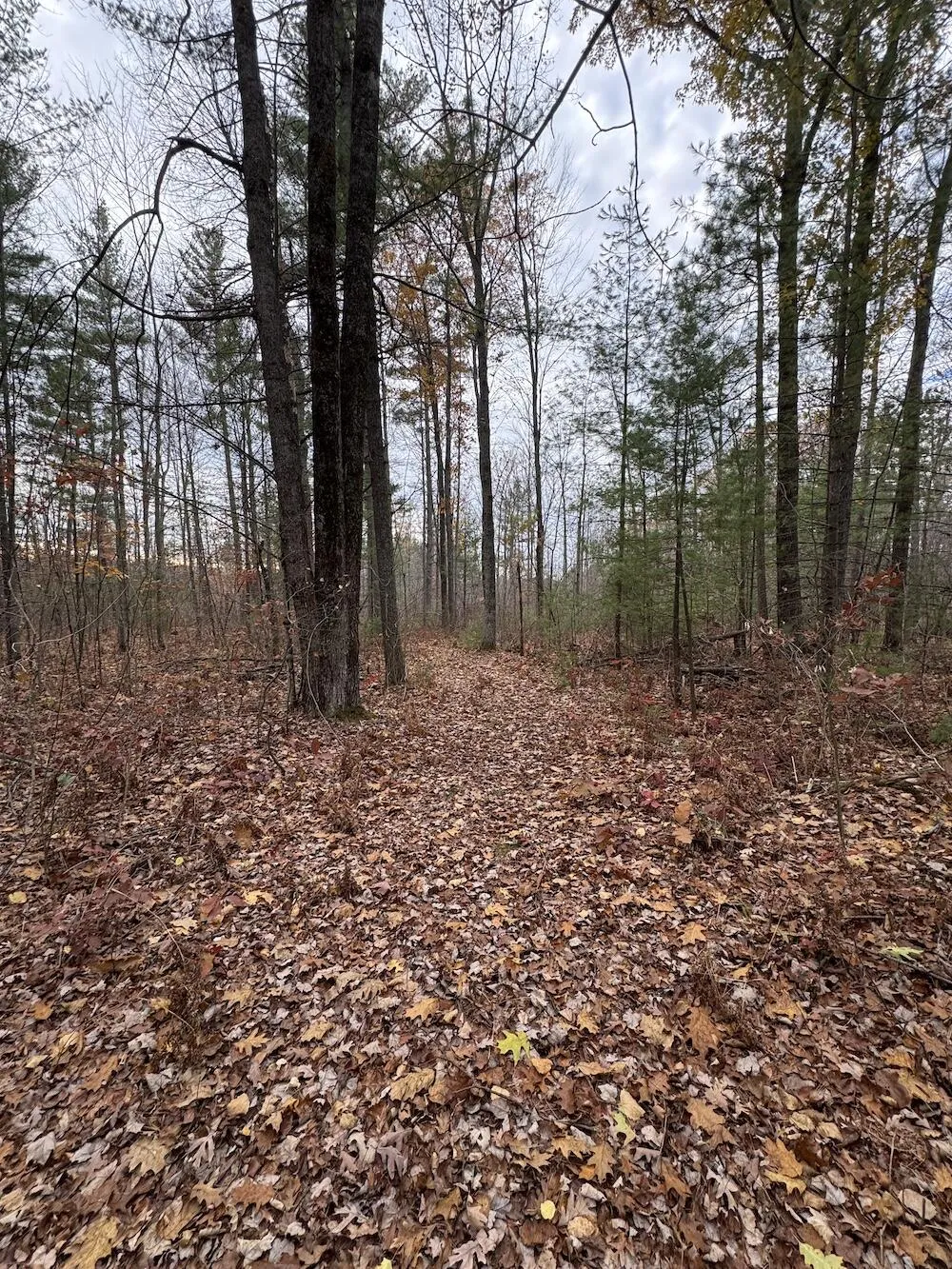 4335 Kings Corner Road Oscoda Charter Township, MI 48737