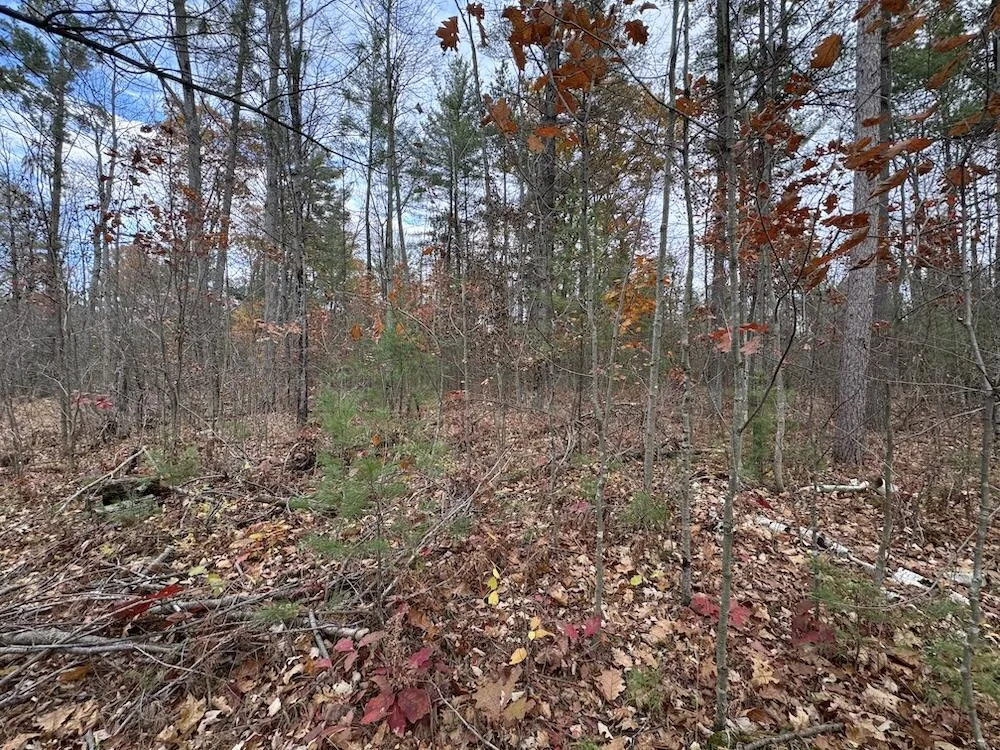4335 Kings Corner Road Oscoda Charter Township, MI 48737