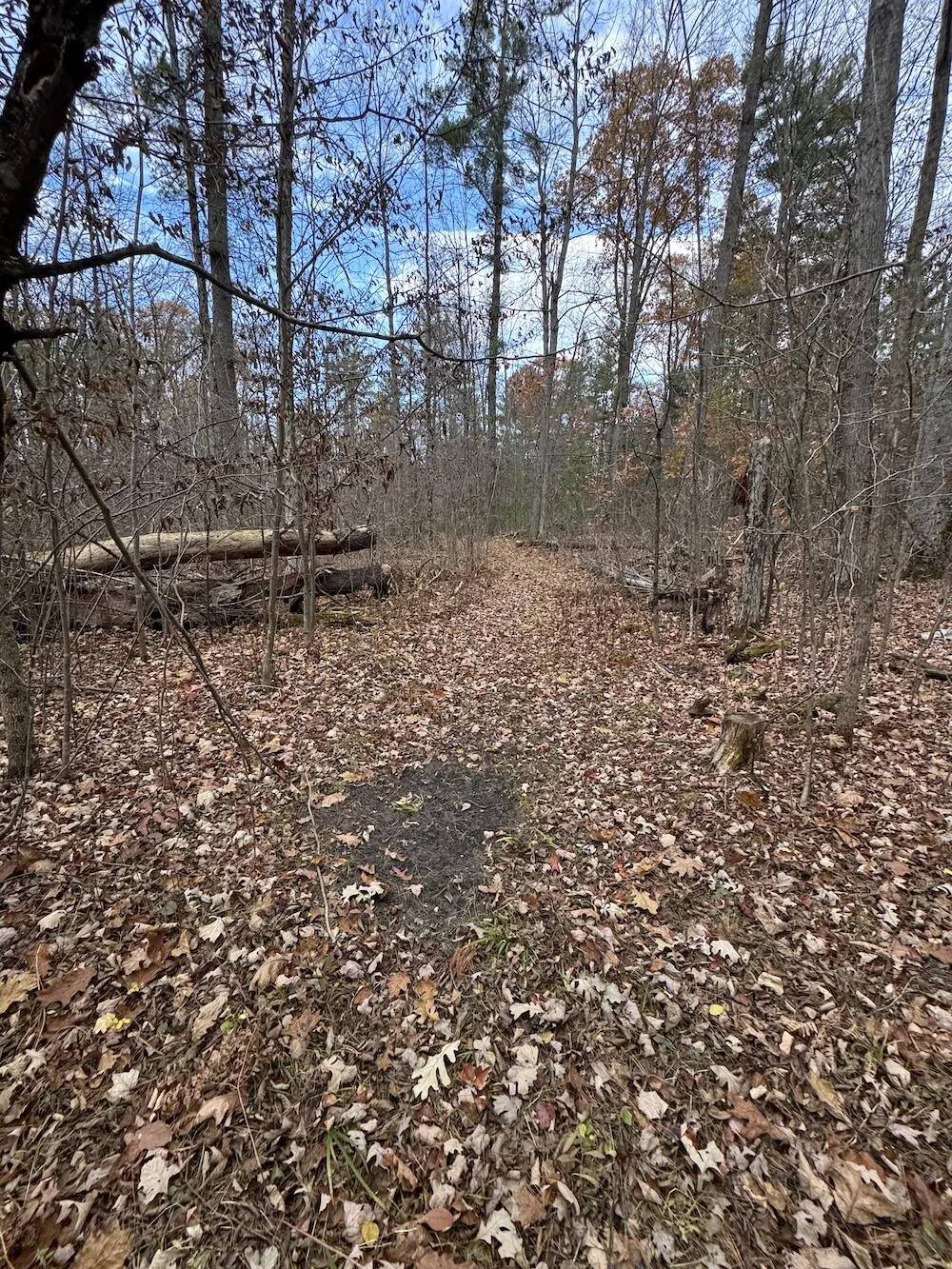 4335 Kings Corner Road Oscoda Charter Township, MI 48737