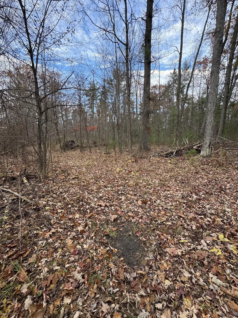 4335 Kings Corner Road Oscoda Charter Township, MI 48737