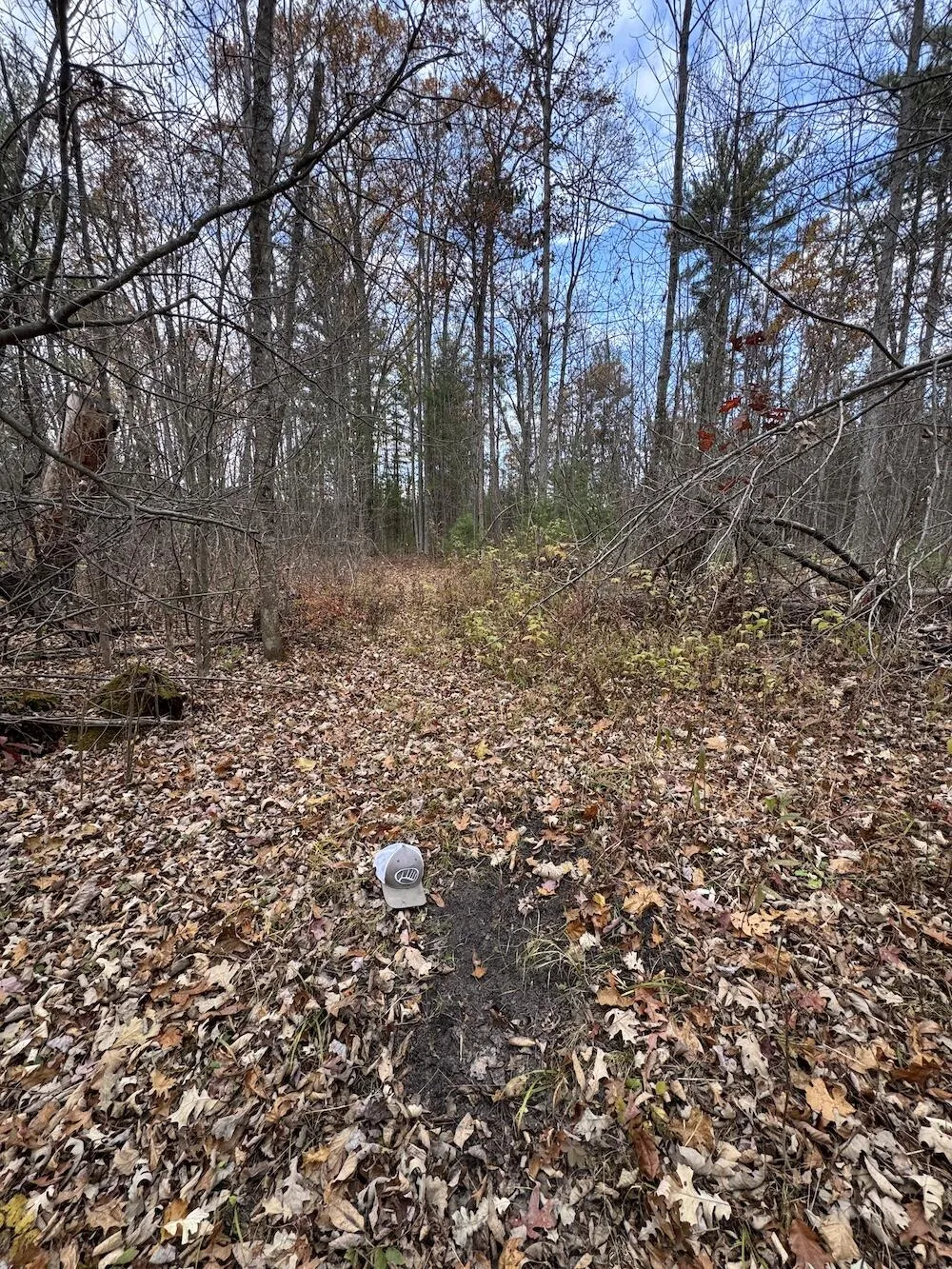 4335 Kings Corner Road Oscoda Charter Township, MI 48737