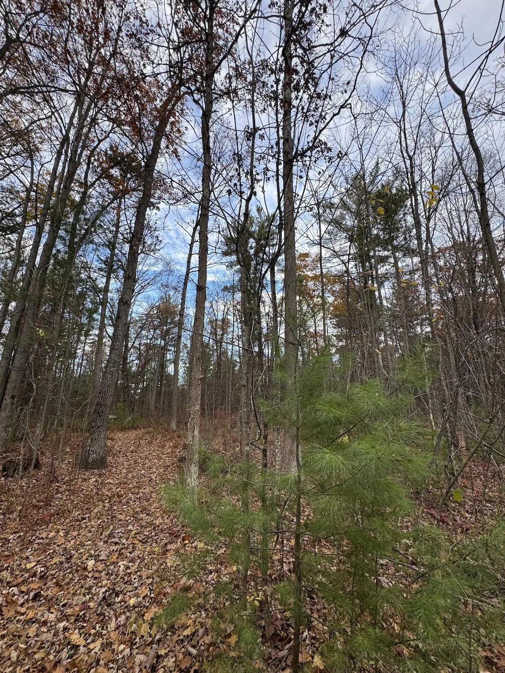 4335 Kings Corner Road Oscoda Charter Township, MI 48737