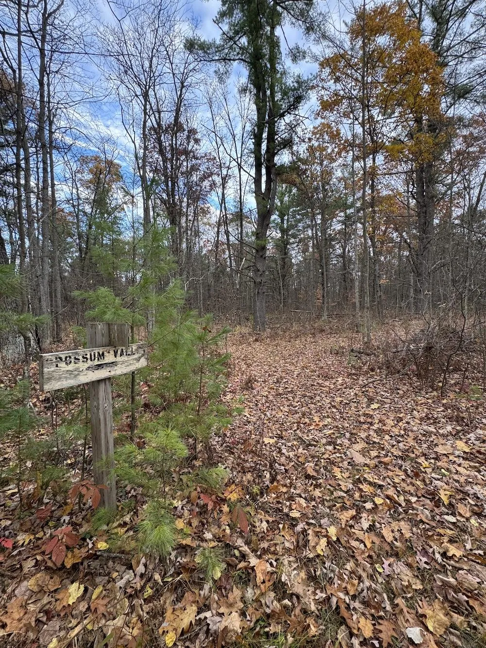 4335 Kings Corner Road Oscoda Charter Township, MI 48737