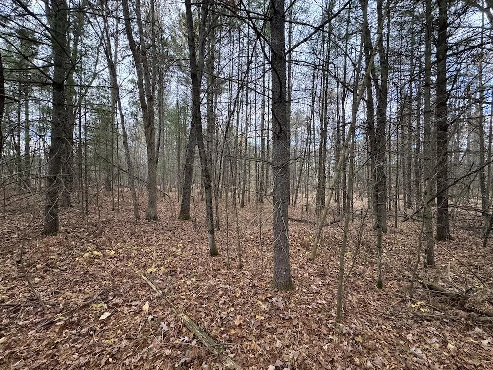 4335 Kings Corner Road Oscoda Charter Township, MI 48737
