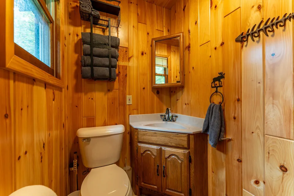 91009 Duffy Island Tower, MN 55790