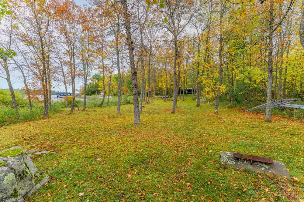 91009 Duffy Island Tower, MN 55790