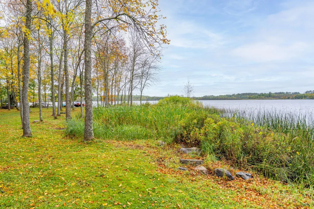 91009 Duffy Island Tower, MN 55790