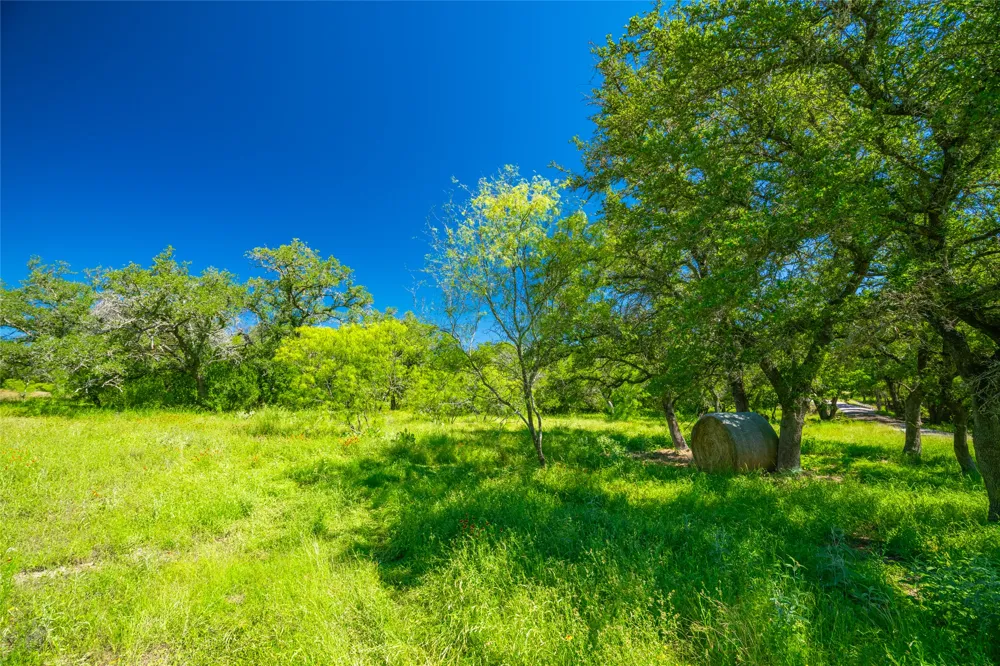 24601 Singleton Bend East Road Marble Falls, TX 78654