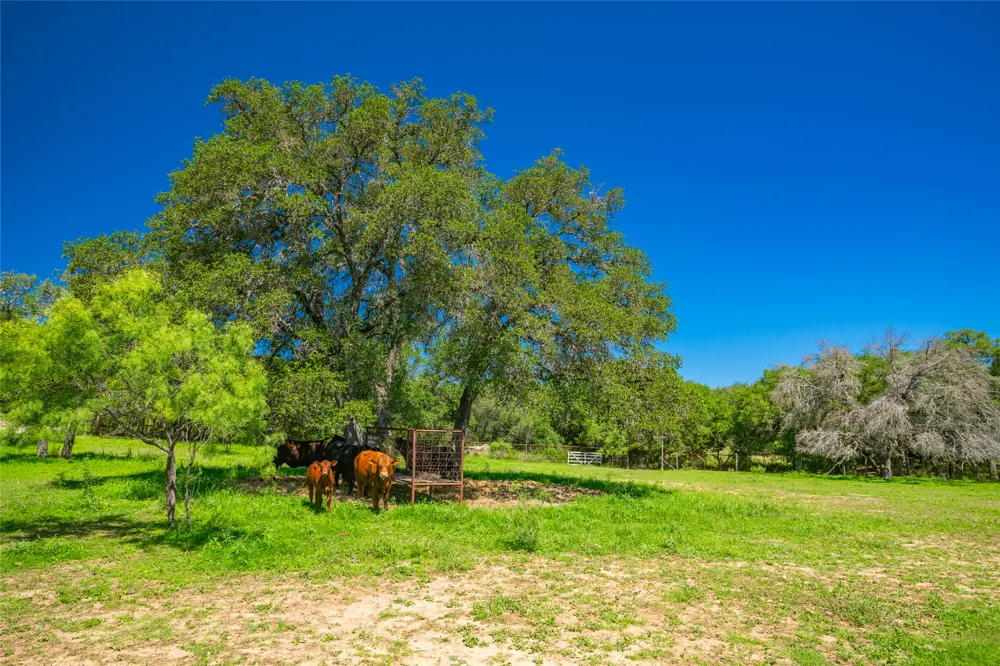 24601 Singleton Bend East Road Marble Falls, TX 78654