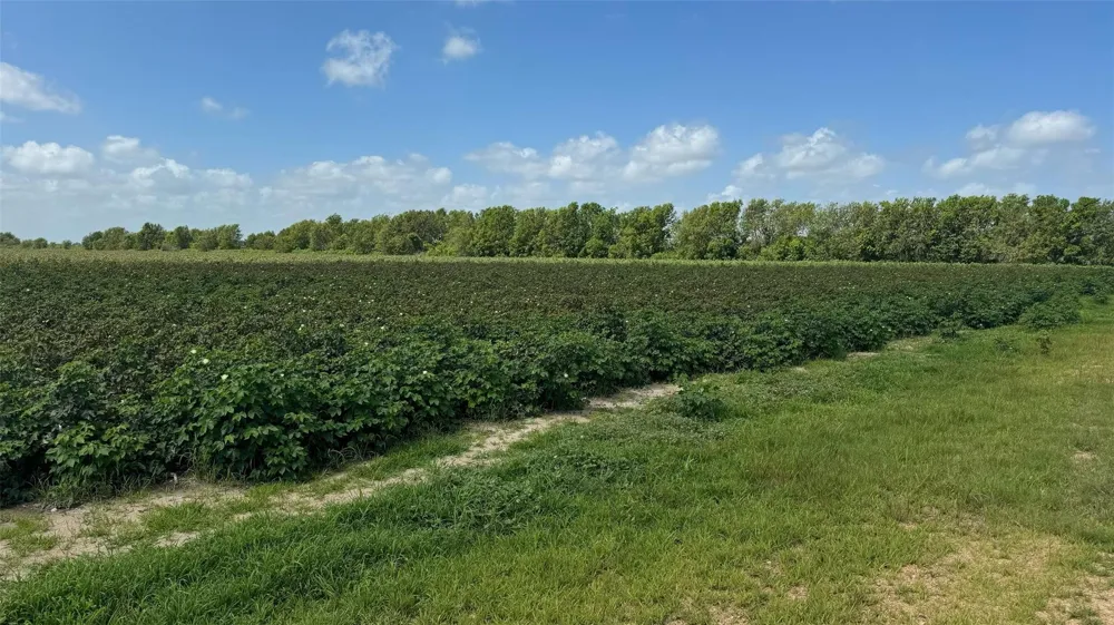 3 County Road 414 El Campo, TX 77437