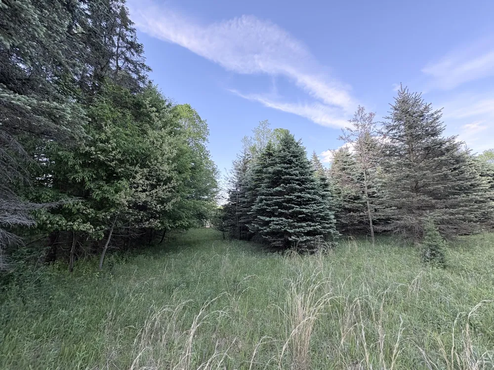 E Riverside Drive Ionia, MI 48846