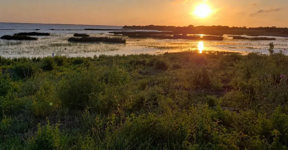 71 Fivemile Trail Palacios, TX 77465