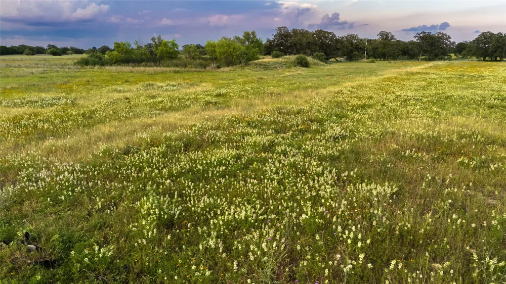 1395 S Highway 95 Smithville, TX 78957