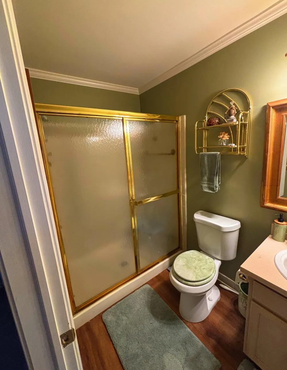 558 Thornhill Court Belleville, MI 48111