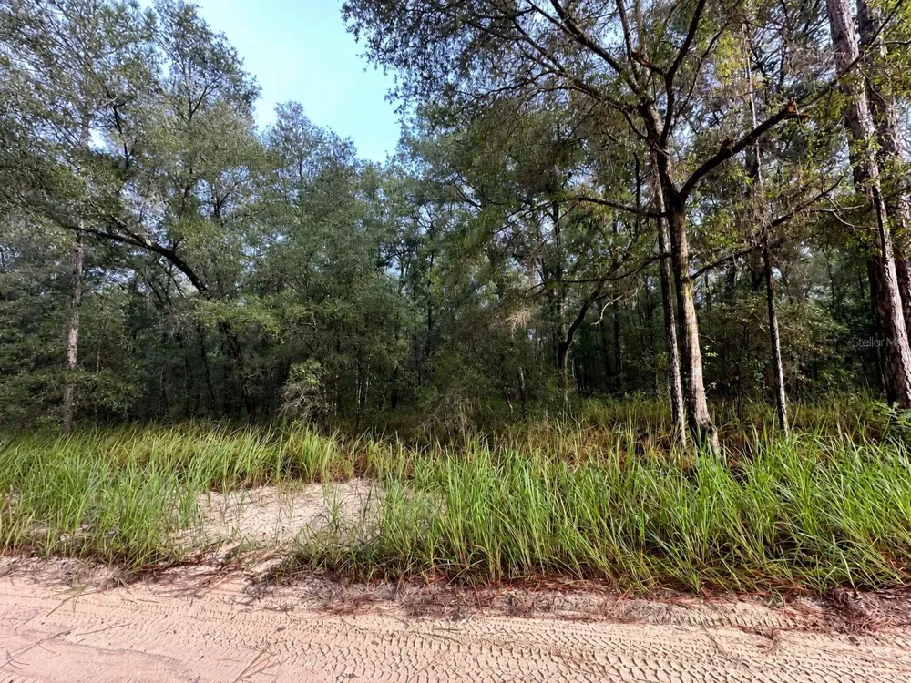 SW 40TH STREET ocala, FL 34481