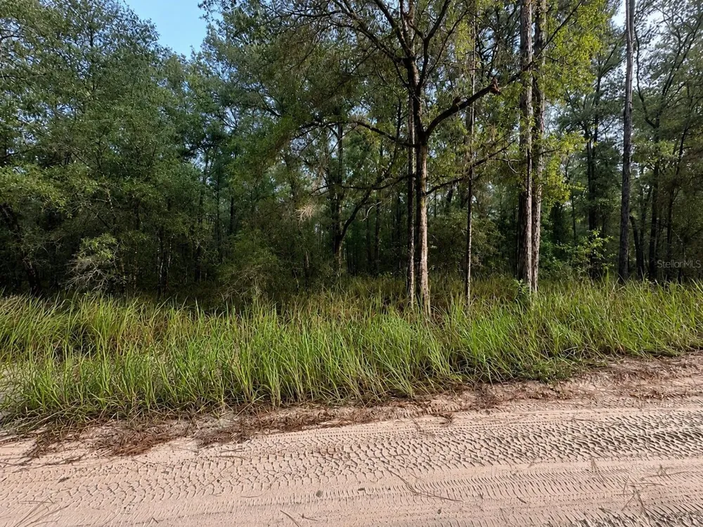 SW 40TH STREET ocala, FL 34481