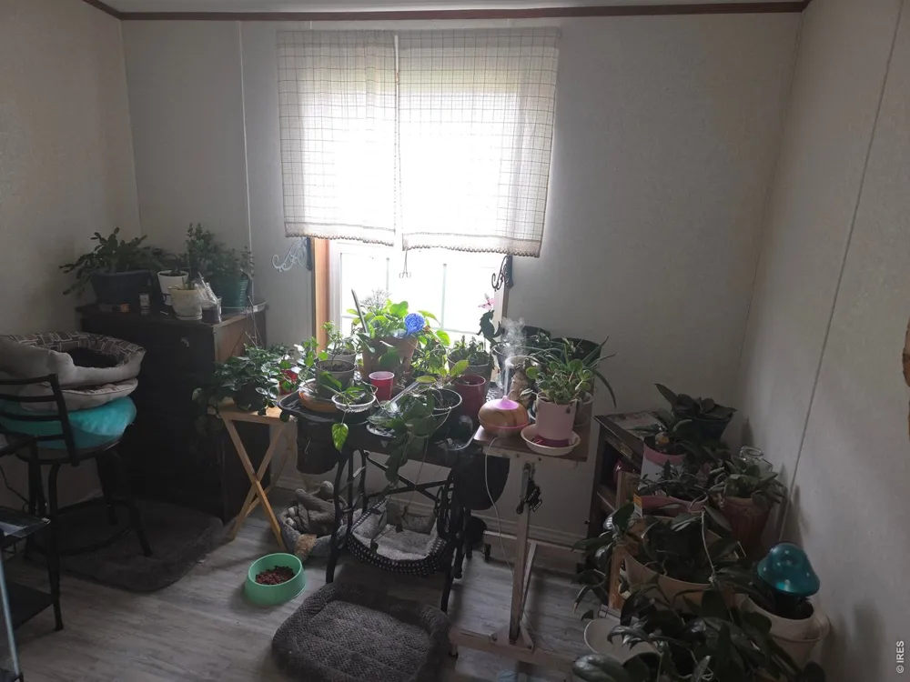 22852 Washington Avenue Orchard, CO 80649