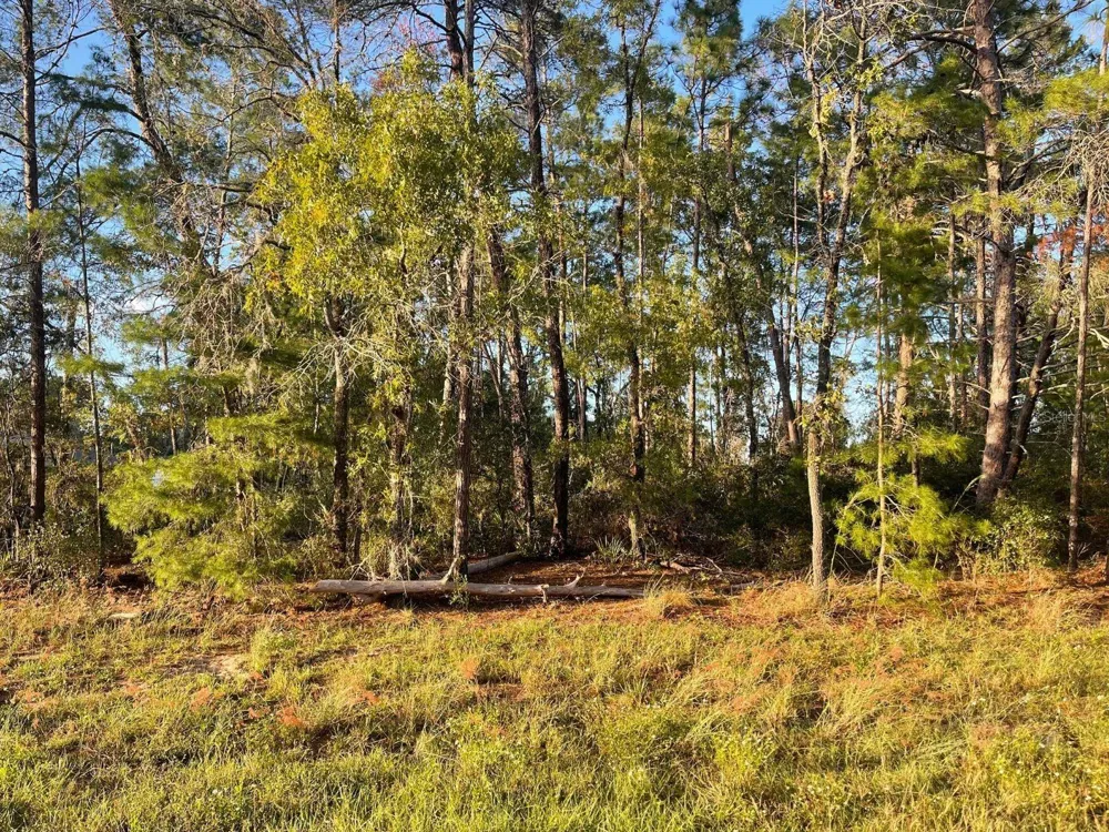 0 SW 157TH STREET ocala, FL 34473