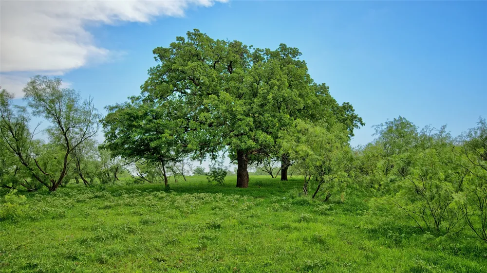 Cardwell Road Ringgold, TX 76261