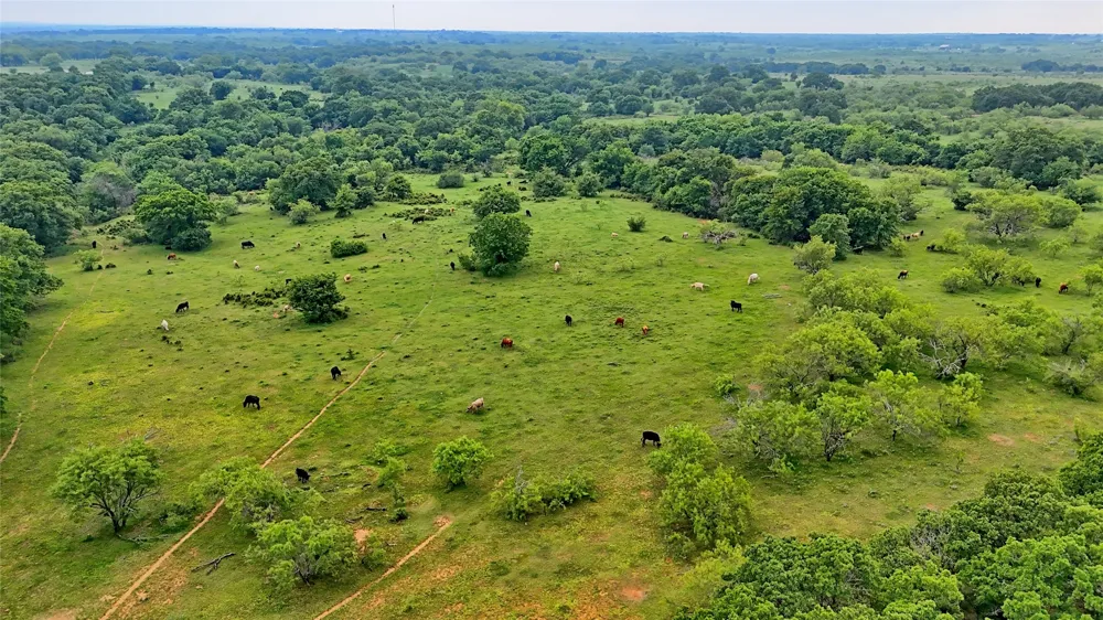 Cardwell Road Ringgold, TX 76261