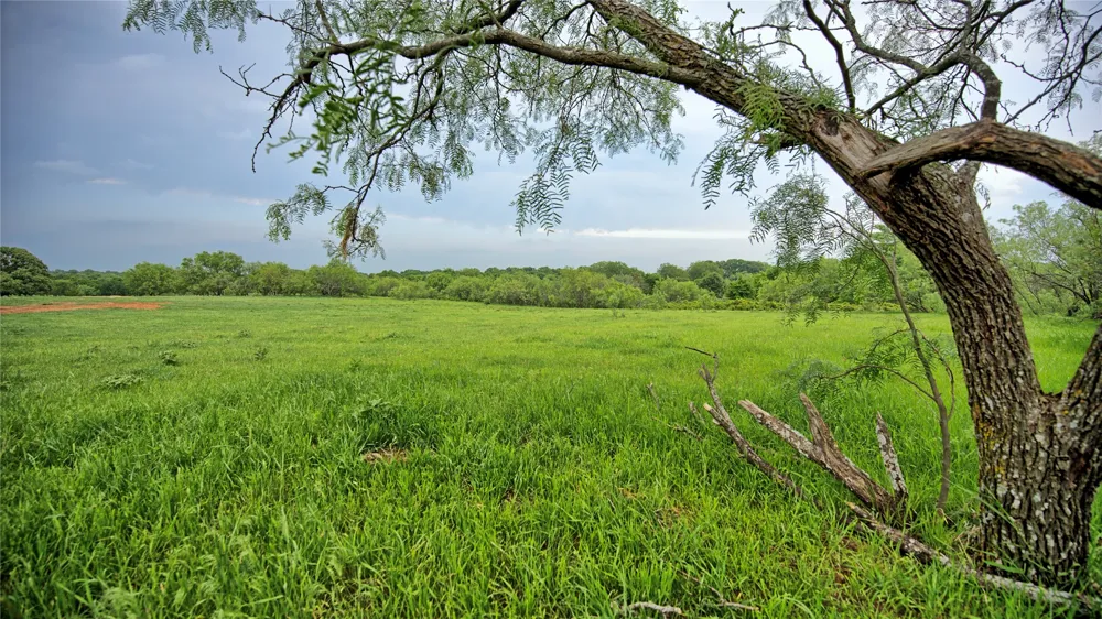Cardwell Road Ringgold, TX 76261