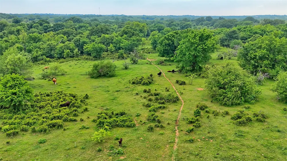 Cardwell Road Ringgold, TX 76261