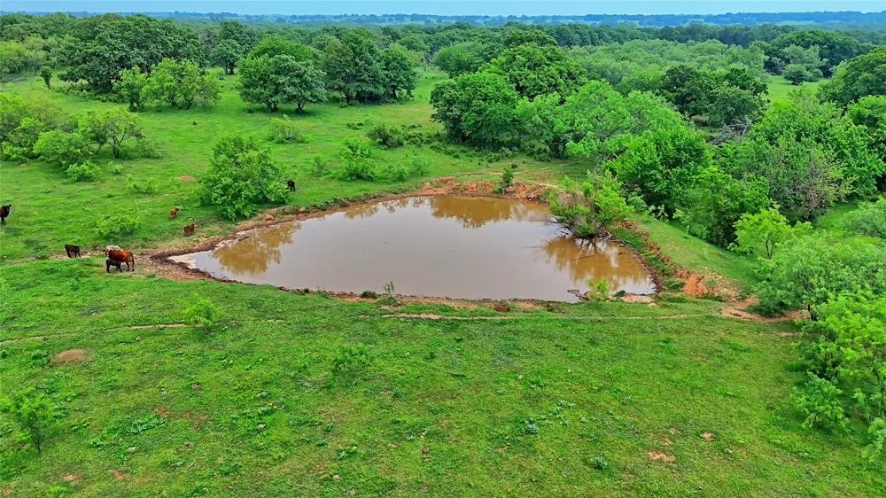 Cardwell Road Ringgold, TX 76261