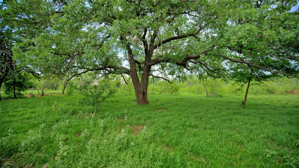 Cardwell Road Ringgold, TX 76261