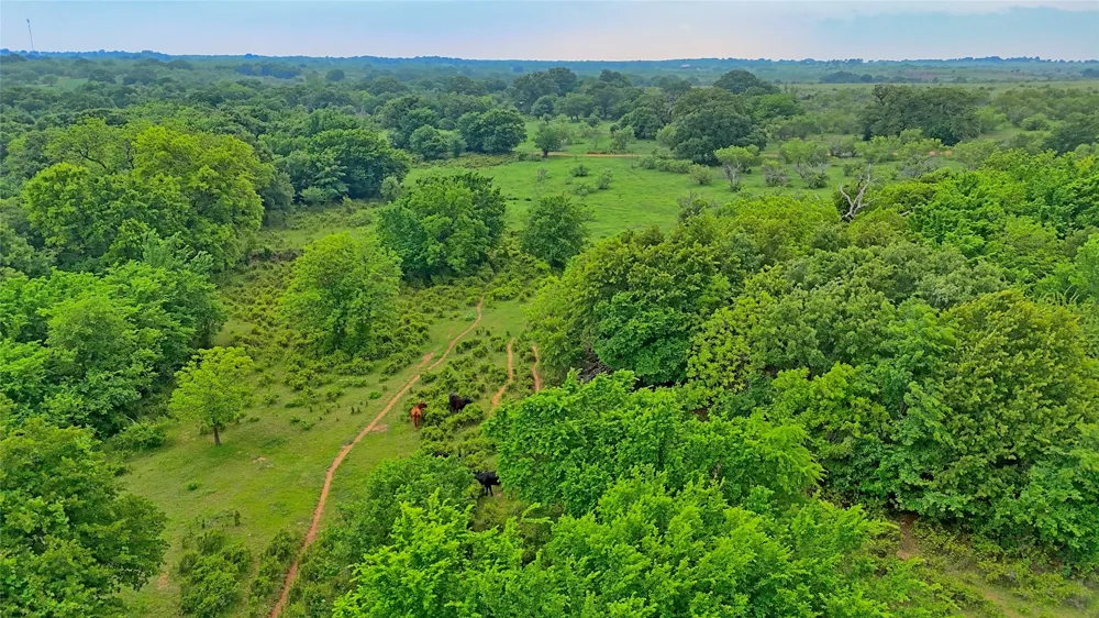 Cardwell Road Ringgold, TX 76261
