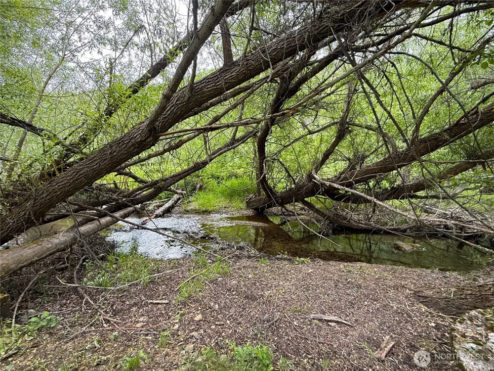 1742 Toroda Creek Road Wauconda, WA 98859