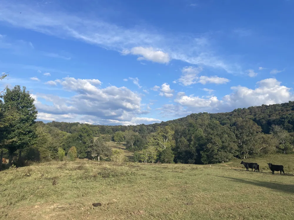 1380 Conrad Templeton Rd Quebeck, TN 38579