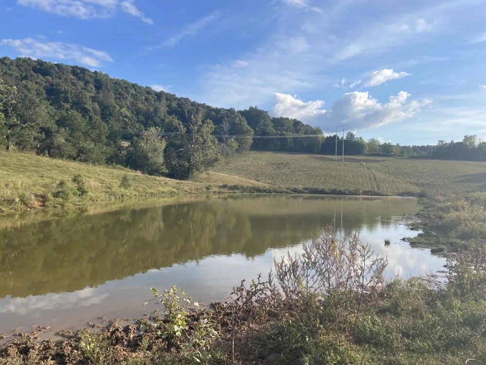 1380 Conrad Templeton Rd Quebeck, TN 38579