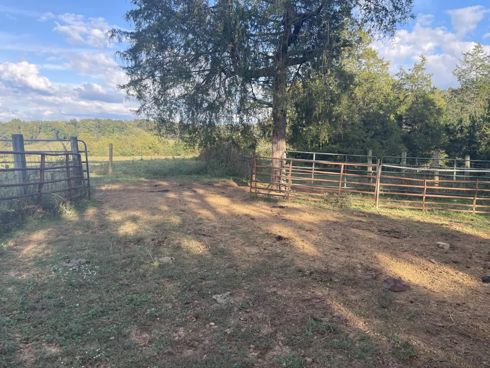 1380 Conrad Templeton Rd Quebeck, TN 38579