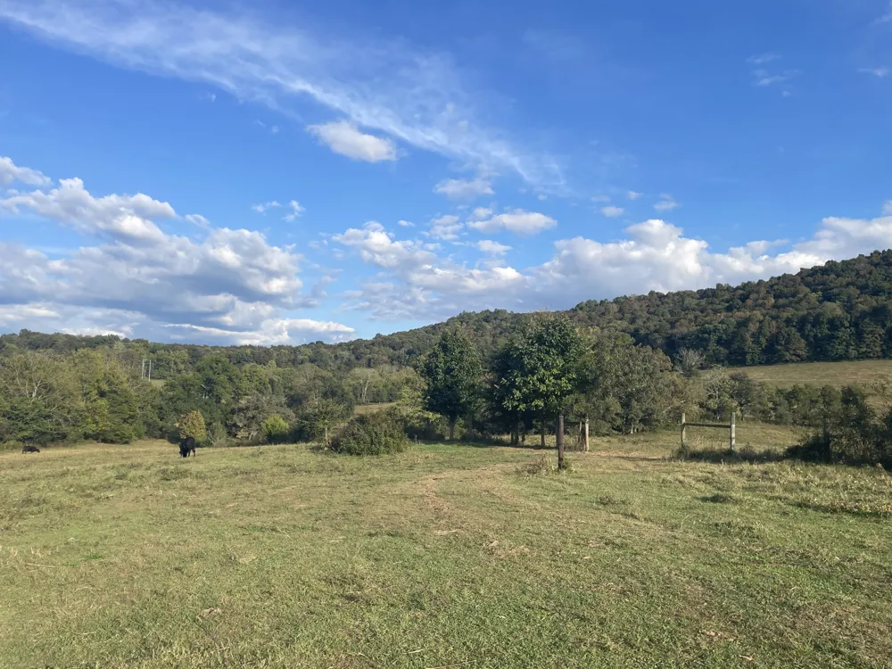 1380 Conrad Templeton Rd Quebeck, TN 38579