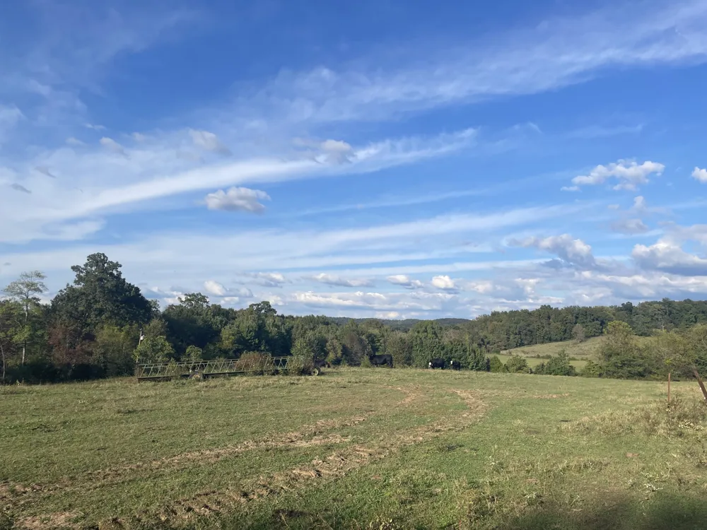 1380 Conrad Templeton Rd Quebeck, TN 38579