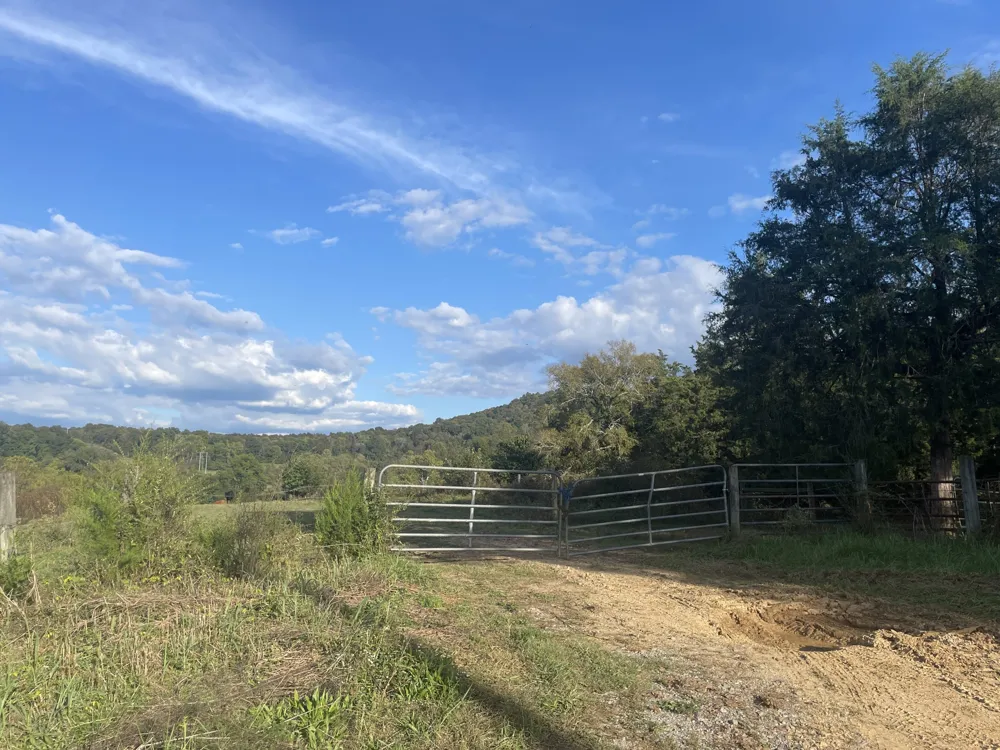 1380 Conrad Templeton Rd Quebeck, TN 38579
