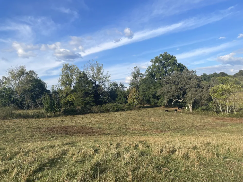 1380 Conrad Templeton Rd Quebeck, TN 38579