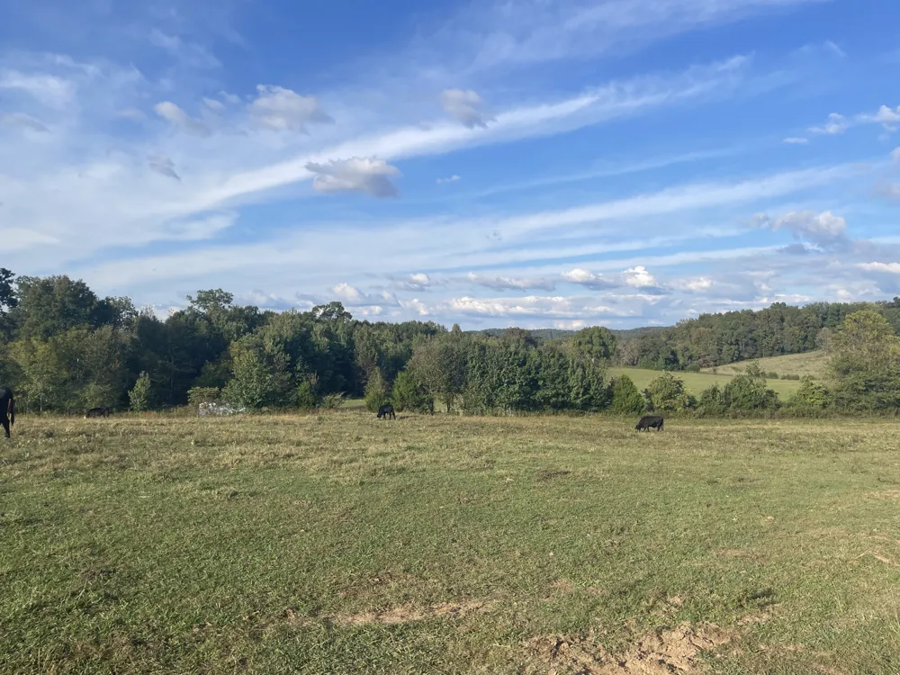 1380 Conrad Templeton Rd Quebeck, TN 38579