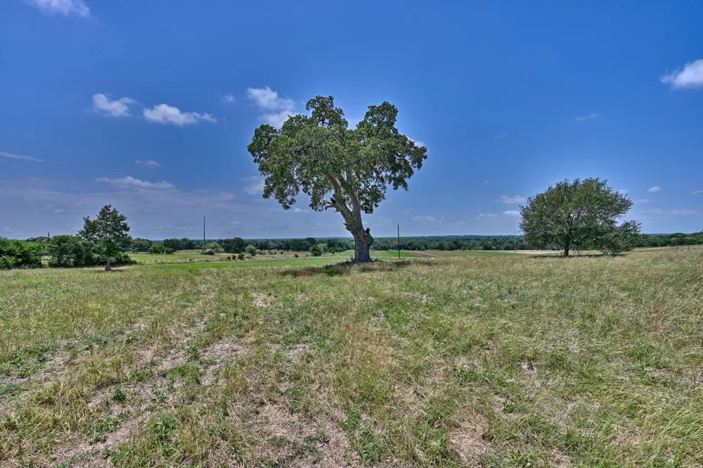 6238 Kovar Road Fayetteville, TX 78940