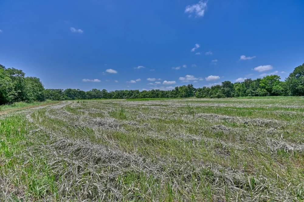 6238 Kovar Road Fayetteville, TX 78940