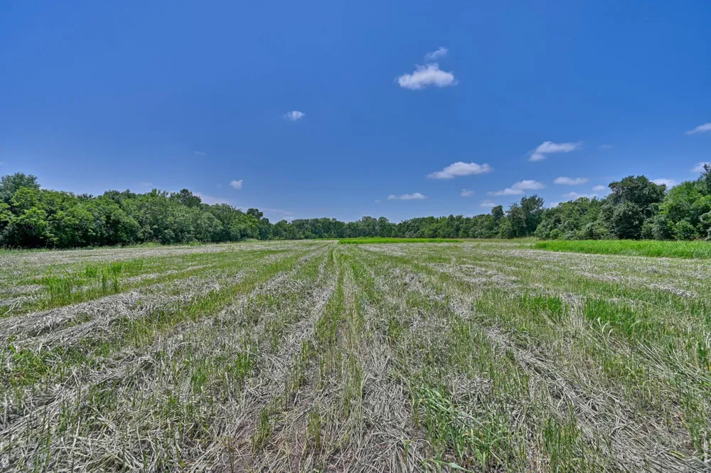 6238 Kovar Road Fayetteville, TX 78940